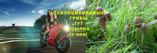 мдпв Баксан